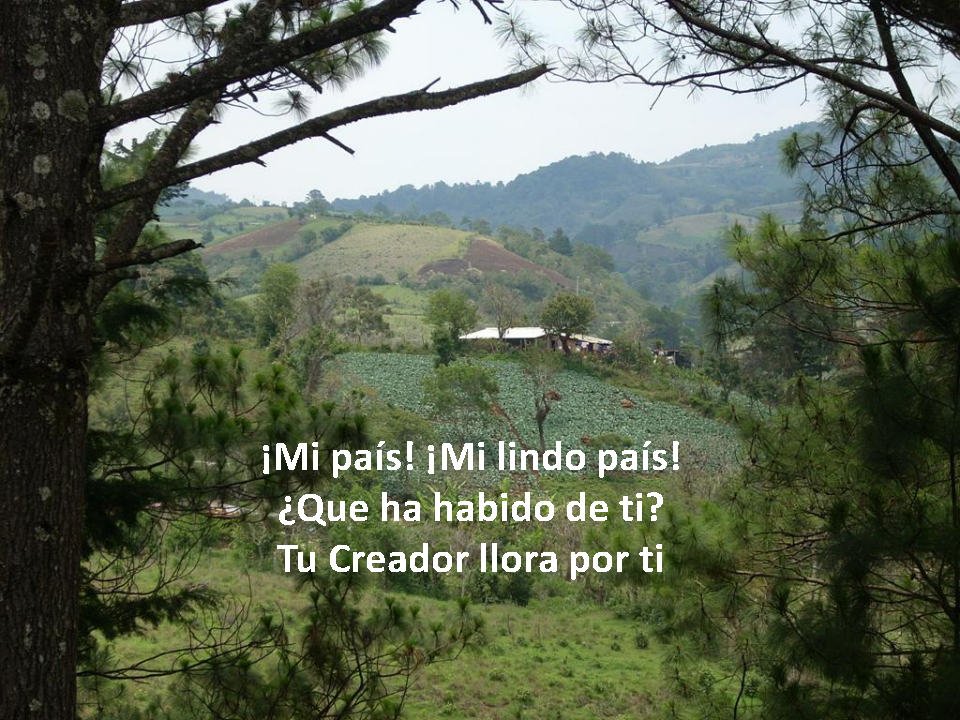Poemas-ElSalvador