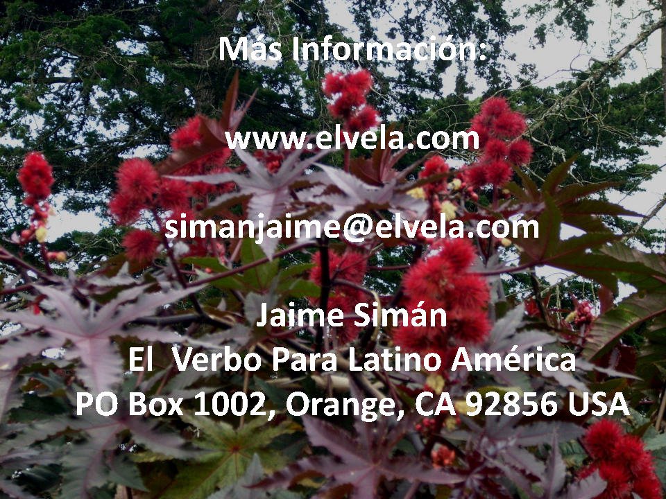Poemas-ElSalvador