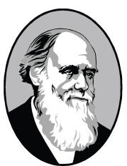 Darwin