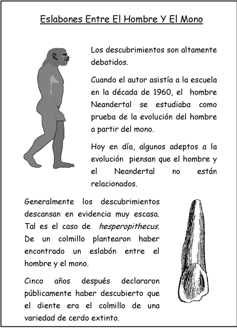 Eslabones Entre El Hombre Y El Mono