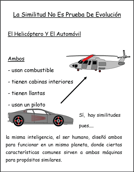 La Similitud No Es Prueba De Evolución