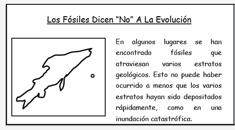 Los Fósiles Dicen “No” A La Evolución