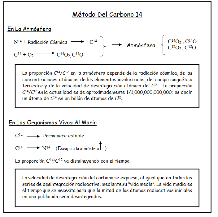Método Del Carbono 14