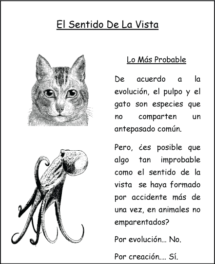 El Sentido De La Vista